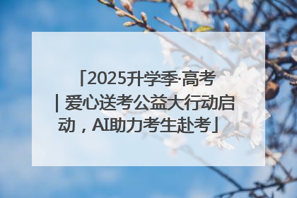 2025升学季·高考｜爱心送考公益大行动启动，AI助力考生赴考