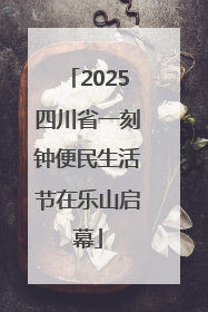 2025四川省一刻钟便民生活节在乐山启幕