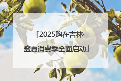 2025购在吉林·盛夏消费季全面启动