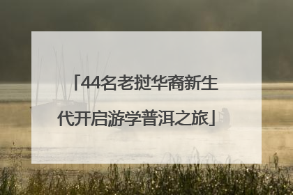 44名老挝华裔新生代开启游学普洱之旅