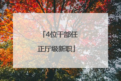 4位干部任正厅级新职