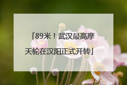 89米！武汉最高摩天轮在汉阳正式开转