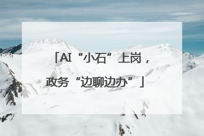 AI“小石”上岗，政务“边聊边办”