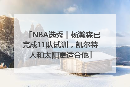 NBA选秀｜杨瀚森已完成11队试训，凯尔特人和太阳更适合他