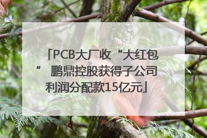 PCB大厂收“大红包” 鹏鼎控股获得子公司利润分配款15亿元